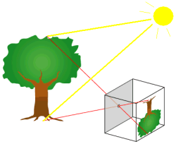 pinhole camera