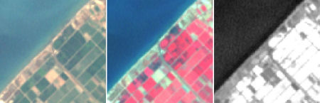 Example of NDVI from LANDSAT TM