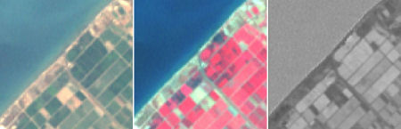 Example of NDVI from LANDSAT TM