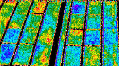 Wassergehalt von Erntefeldern durch Thermographie