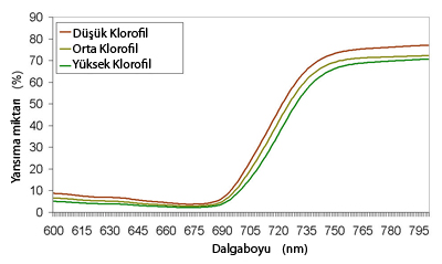 Red edge shift, due to chlorophyll concentration change