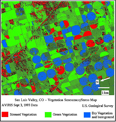 Identification of stressed vegetation from AVIRIS data