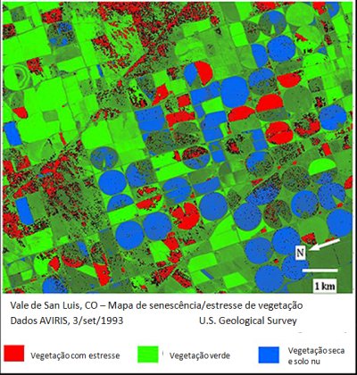 Identification of stressed vegetation from AVIRIS data