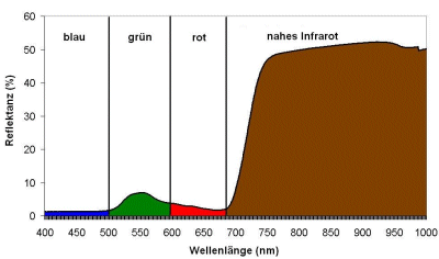 Spektrale Signatur der Vegetation