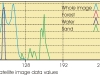 Frequency distributions for the whole of the Skagen image and for the three training areas