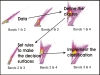 The process of classification I