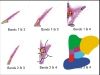 The process of classification II