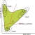 maximum likelihood classifier