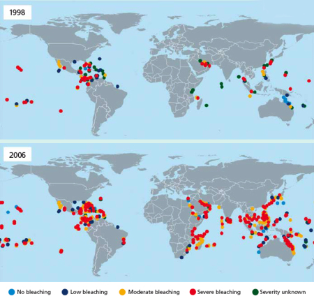 global coral bleaching