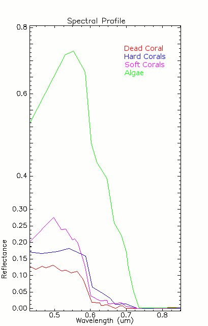 Coral reflectance