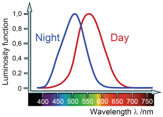 colour vision