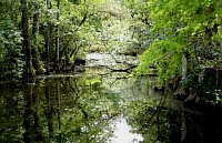 Le parc national des Everglades