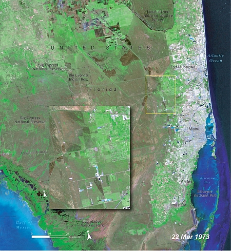 Le parc national des Everglades, Floride, Etats-Unis, 22 mars 1973