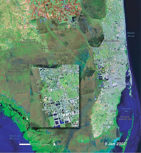 Het Everglades National Park, Florida, VS, 9 januari 2002