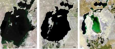 The Shrinking of the Aral Sea 