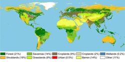 Global Distribution of Land Cover 2000