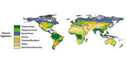 Potential Vegetation Distribution