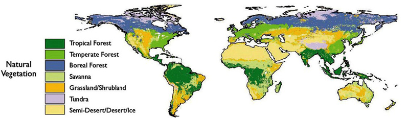 Potential vegetation cover