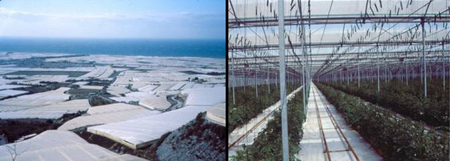  Landbouwmethodes in de regio Almería: Serres en hydrocultuur.