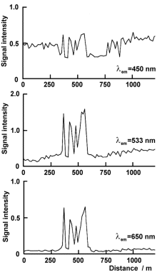 450 nm, 533 nm, 650 nm