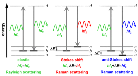 elastic and inelastic scattering