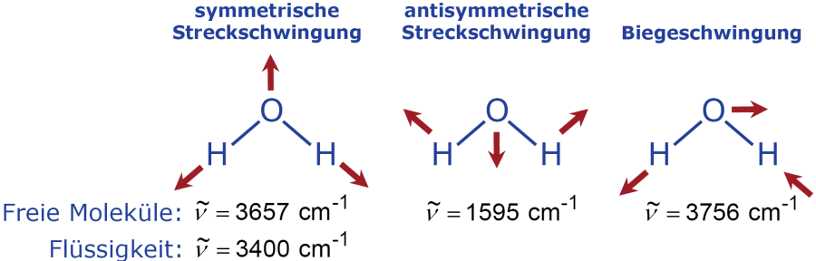 Schwingungen des Wassers