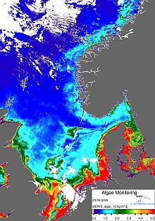 Chlorophyll concentration in the North Sea and Skagerrak Region, 16.03. - 23.03.2009