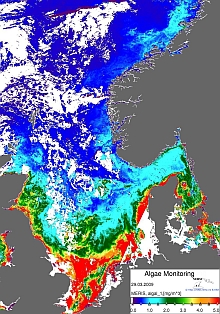 Chlorophyll concentration in the North Sea and Skagerrak Region, 12.03. - 19.03.2009