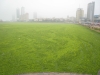 Algal bloom at olympic sailing venue in China 2008