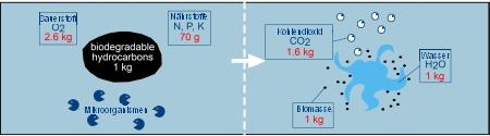 schematic biodegradation of hydrocarbons