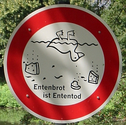 Schild, das auf Vogelgrippe hinweist