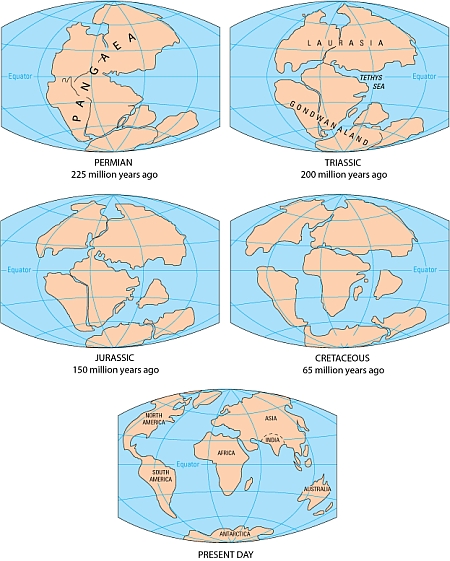 continental drift