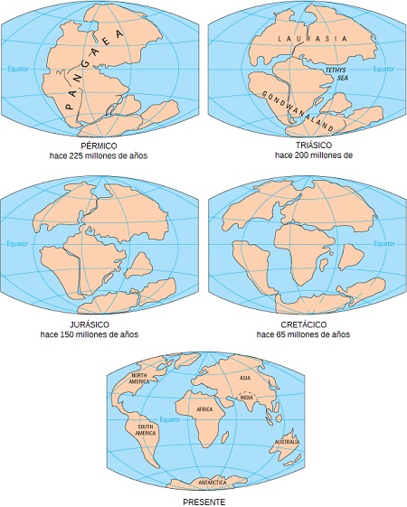 continental drift