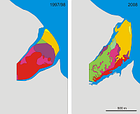 Map of the Blue mussel and Pacific oyster populations at Dornumer Nacken, Wadden Sea