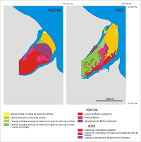 Map of the Blue mussel and Pacific oyster populations at Dornumer Nacken, Wadden Sea