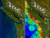 Toxic algal bloom off Washington