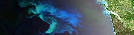 Plankton bloom in the Atlantic Ocean