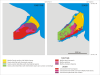 mussel populations