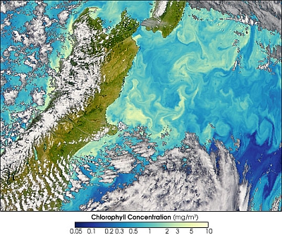 Blooms subtropicaux en Nouvelle-Zélande