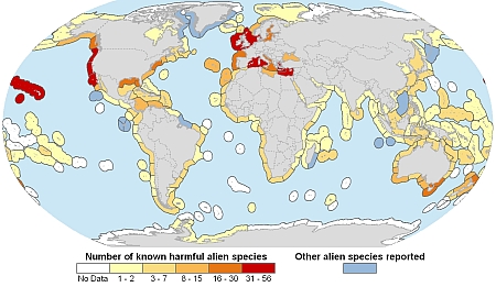 Number of marine invasive species