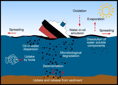 weathering of oil on the water surface