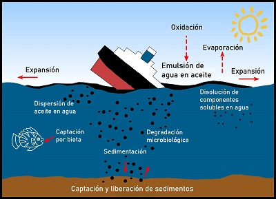 weathering of oil on the water surface