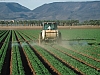 Pesticide application