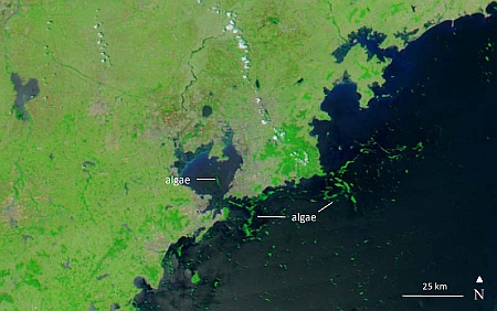 false colour image of Qingdao