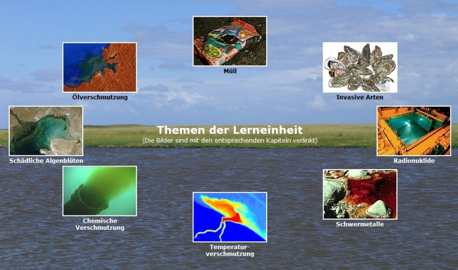 Themenüberblick Meeresverschmutzung