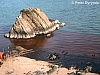 Surface oil around the rock in Saundersfoot Bay