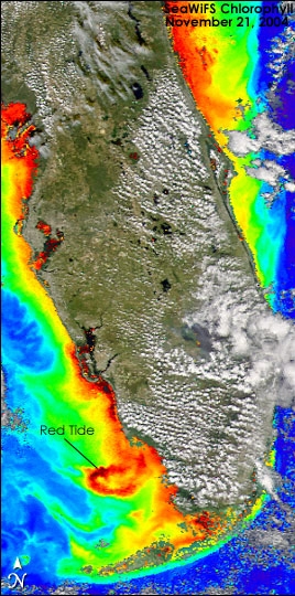 Red Tide off Florida 