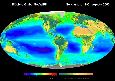 Global biosphere map