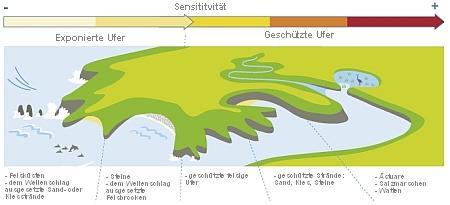 sensitivity of intertidal ecosystems