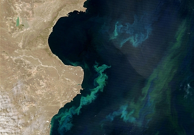 South Atlantic Phytoplankton Bloom